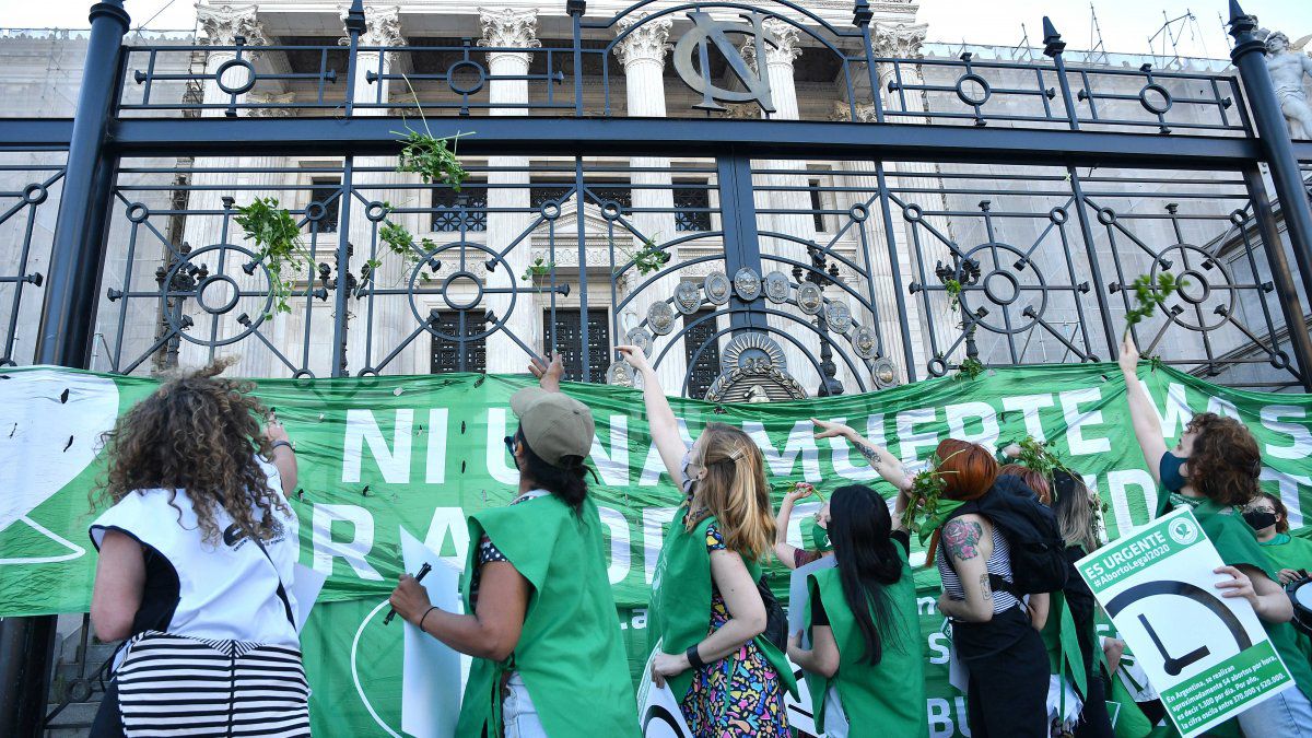 Ingresaron a Diputados los proyectos de legalización del aborto y Plan de los 1000 días