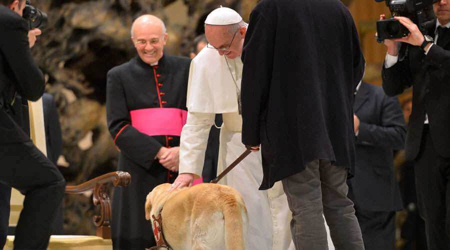 Piden al Papa que derogue una norma de 1976 que prohíbe mascotas en propiedades del Vaticano