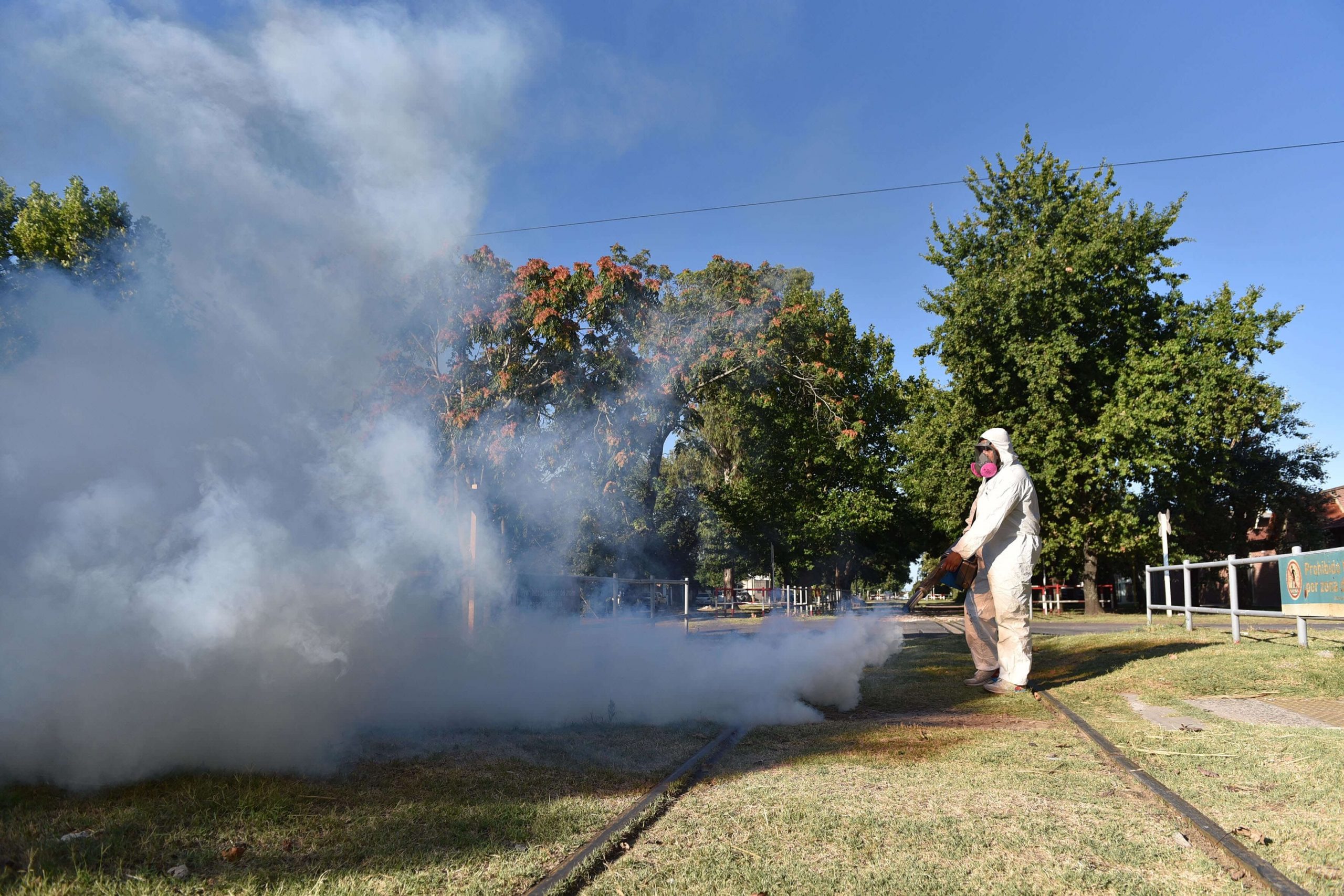El Municipio pide extremar las medidas para evitar el dengue