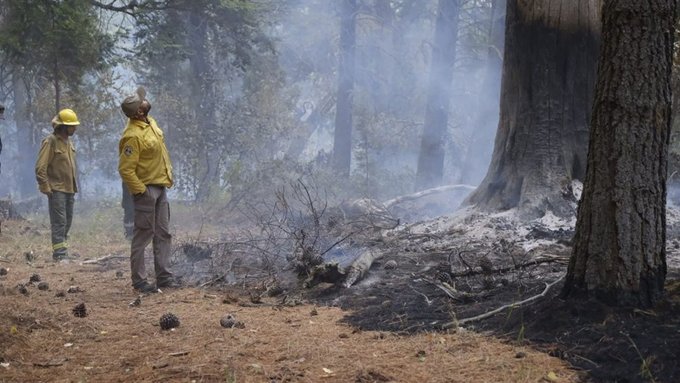 La AFIP dispuso medidas de alivio fiscal para las comarcas del paralelo 42 afectadas por incendios