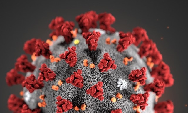 Científicos de la UNLP logran generar anticuerpos específicos de las proteínas de SARS-CoV-2