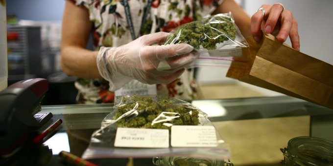 Aprueban proyecto de la Universidad Nacional de La Plata para uso medicinal del cannabis
