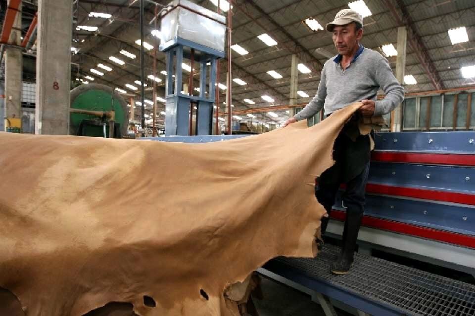 La Federación de Trabajadores del Cuero exige que se anule la habilitación de exportar cuero en crudo