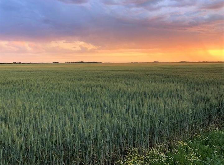 La provincia lanza en Tandil un plan de Desarrollo Rural