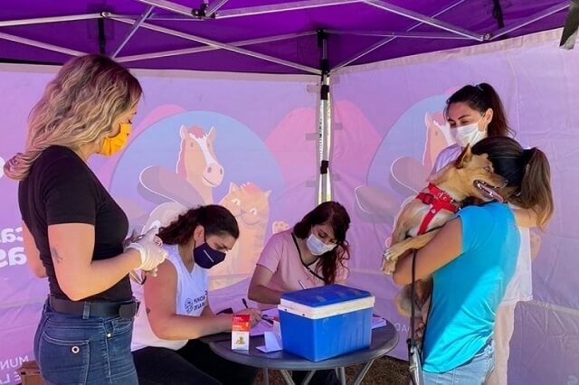 La campaña de vacunación veterinaria gratuita llega a Los Hornos, Arturo Seguí y el Casco Urbano