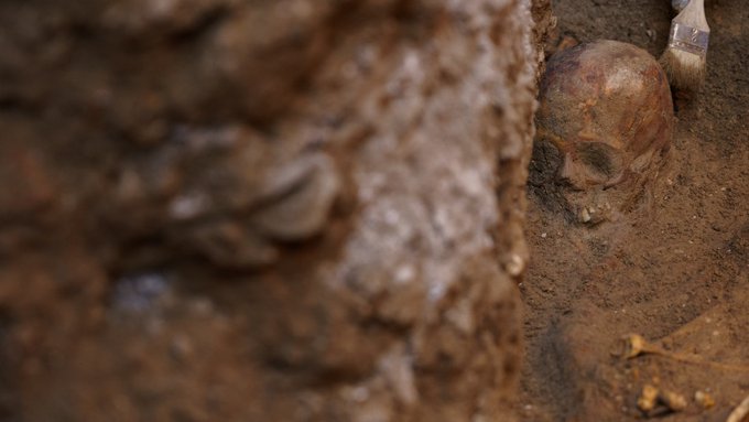 Arqueólogos hallaron restos de un esqueleto que tiene un "linaje humano distinto"