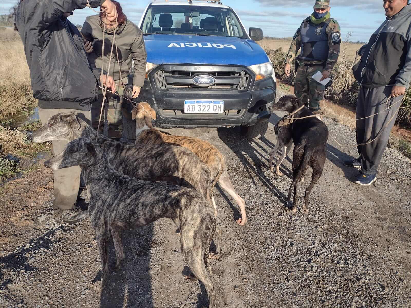 El cazador terminó "cazado": detuvieron a dos hombres que practicaban caza ilegal