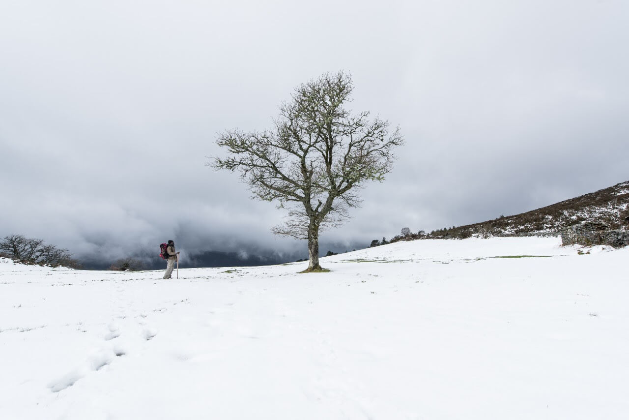 Exponen la serie fotográfica "El camino de Santiago" en el Islas Malvinas
