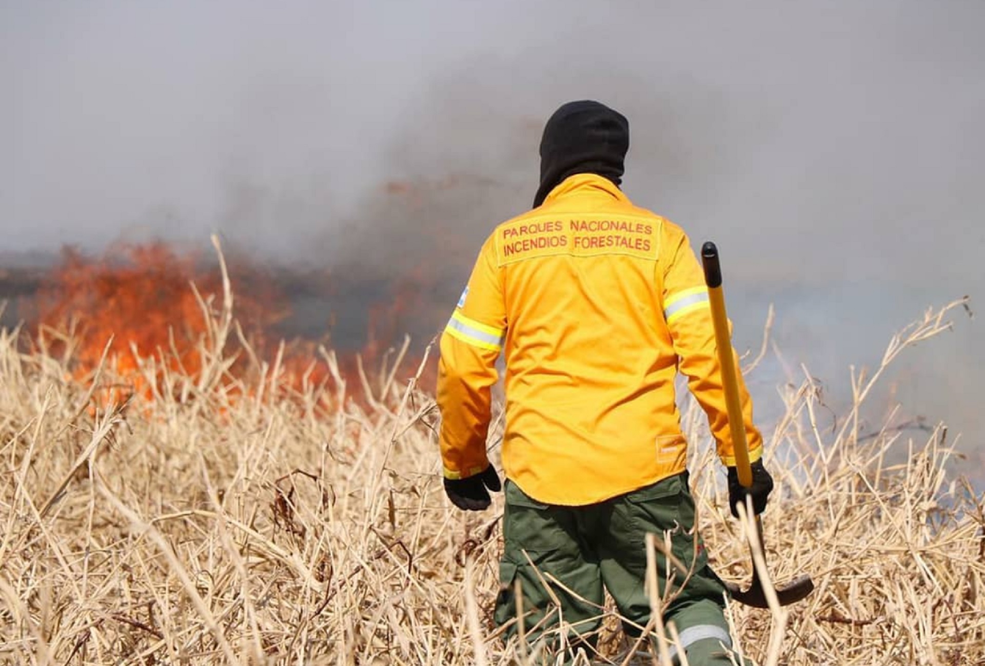 Extinguen incendios en zonas de San Nicolás y el Delta del Paraná