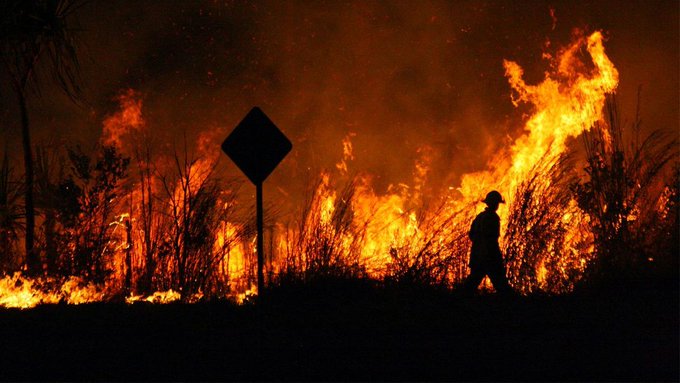 La AFIP dispuso una serie de medidas de alivio fiscal para las zonas afectadas por los incendios