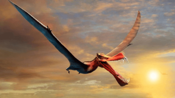 Científicos chilenos hallaron por primera vez restos fósiles de un dragón volador prehistórico