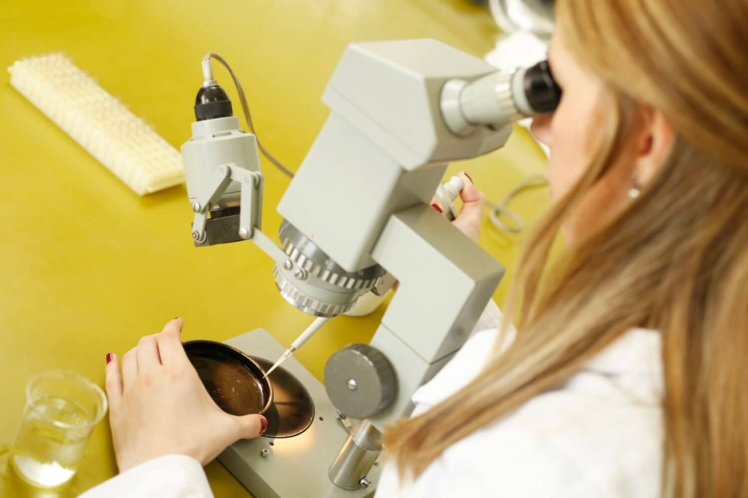 La Provincia y la UNLP producirán un medicamento contra la diabetes