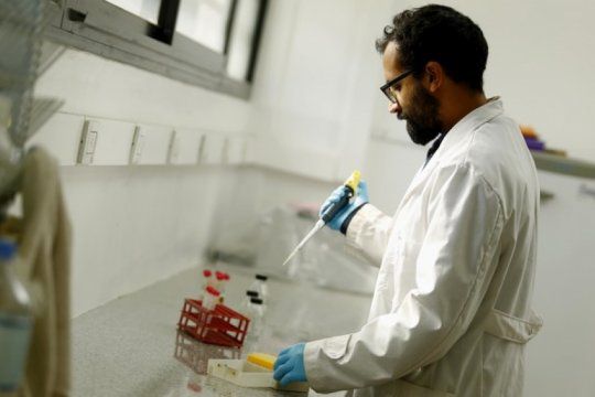 Investigadores avanzan en el desarrollo de una vacuna contra la toxoplasmosis
