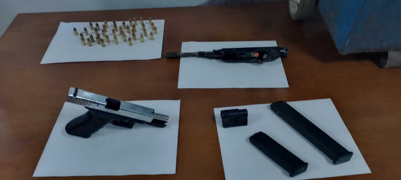 Fueron a buscar dos perros robados y en el allanamiento encontraron pistolas y municiones