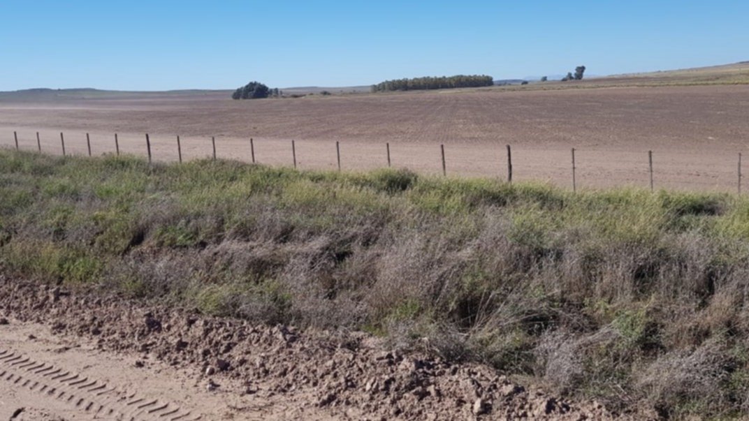 Preocupa el avance de la erosión de los suelos en el sur de la provincia