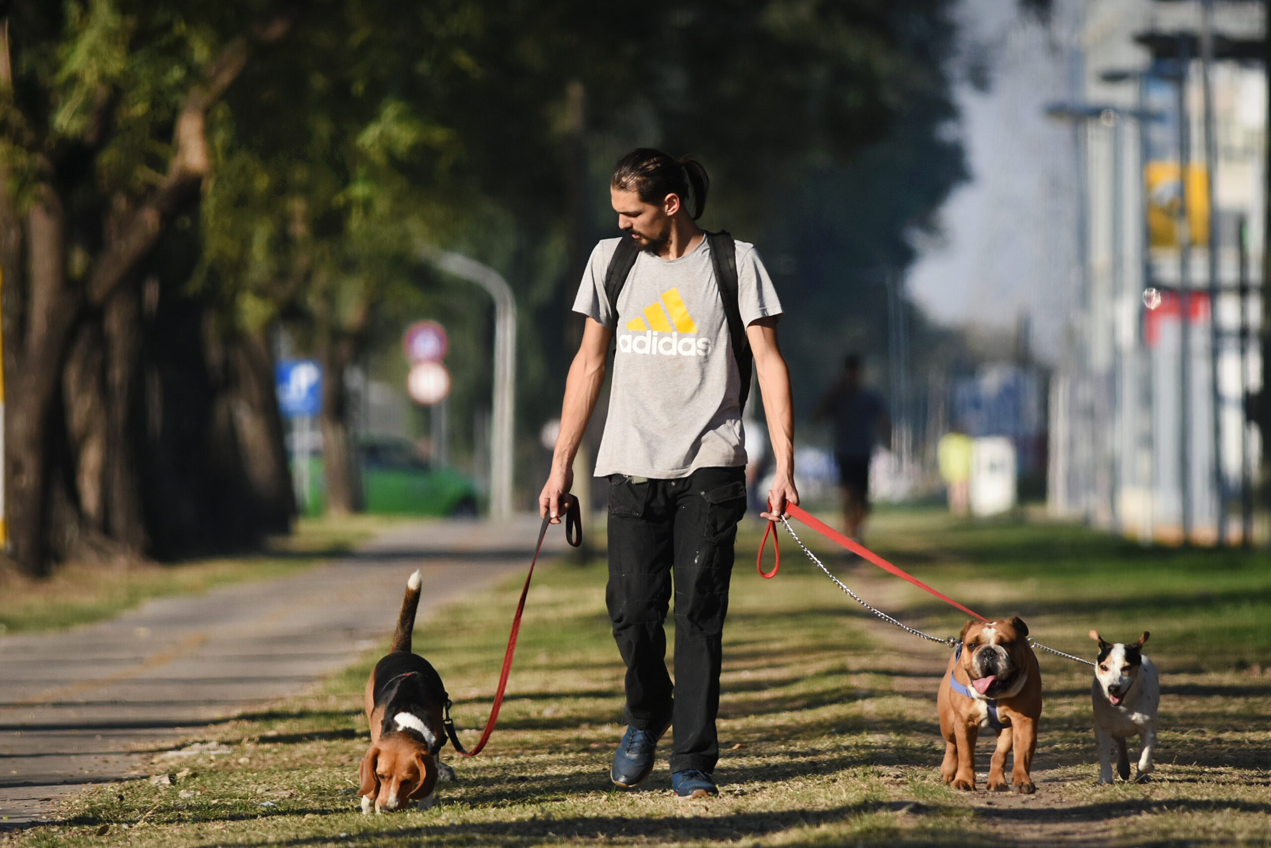 Viernes soleado y agradable en la ciudad