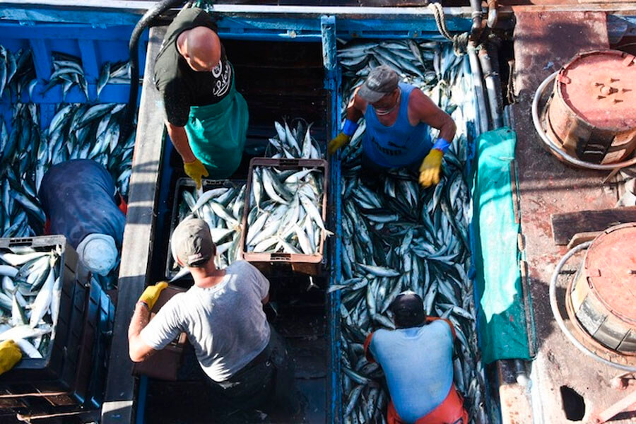 Comienza a regir la obligatoriedad de la Guía Única de Pesca en la provincia de Buenos Aires