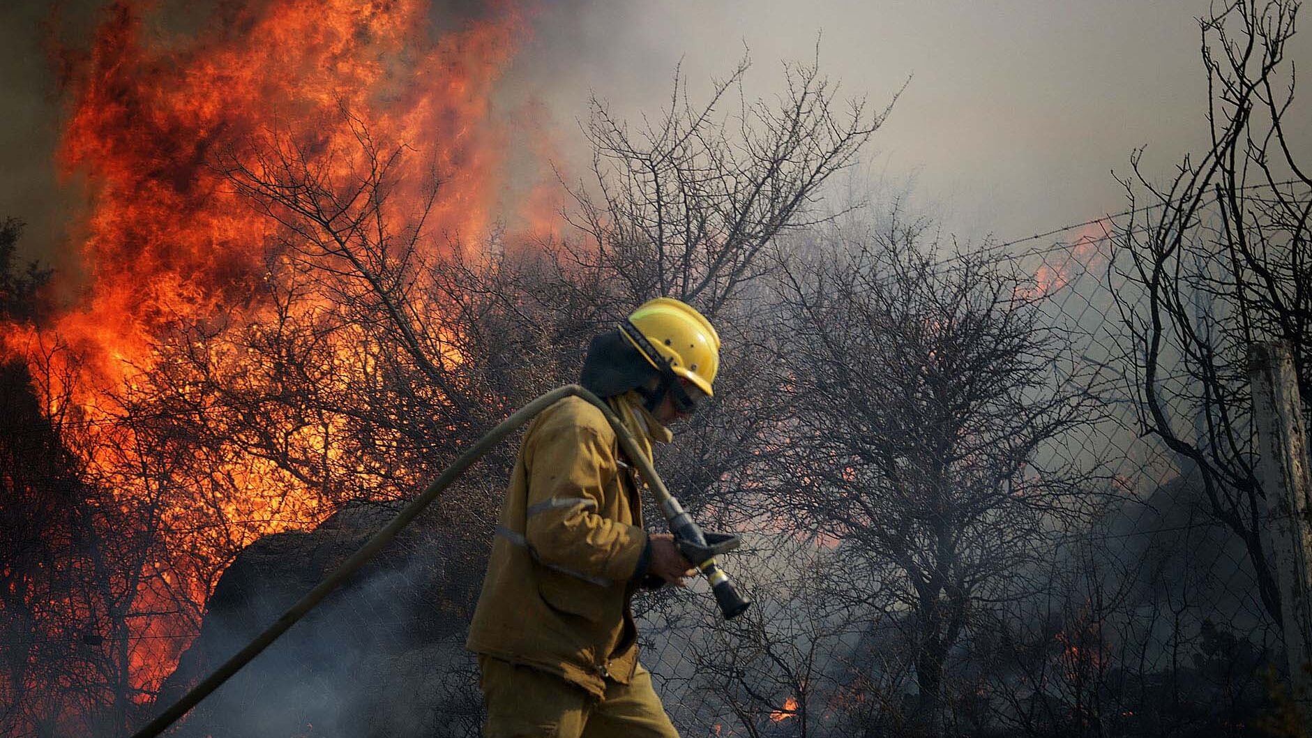 Se redujeron un 70% las áreas afectadas por incendios forestales, reporta el Ministerio de Ambiente
