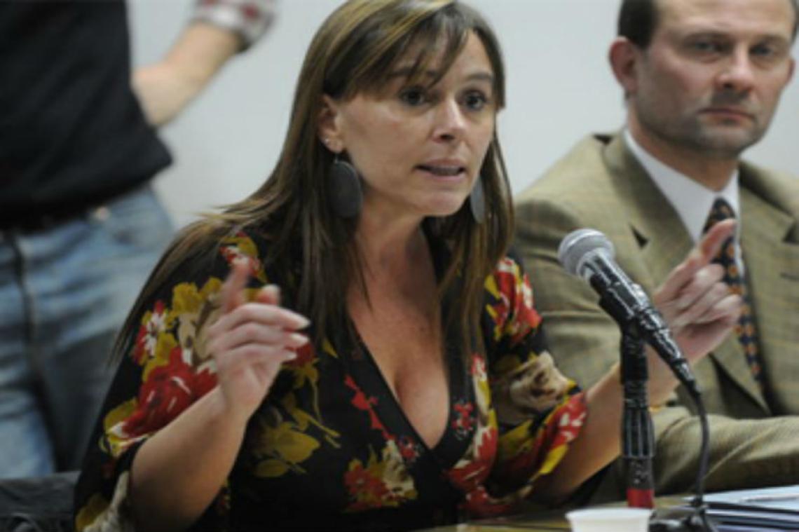 Juliana Di Tullio afirmó que el proyecto de pago de deuda con dinero fugado recaudará $70.000 millones de dólares