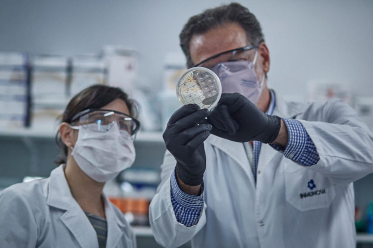 Investigadores del Conicet descubrieron genes vegetales resistentes a bajas temperaturas