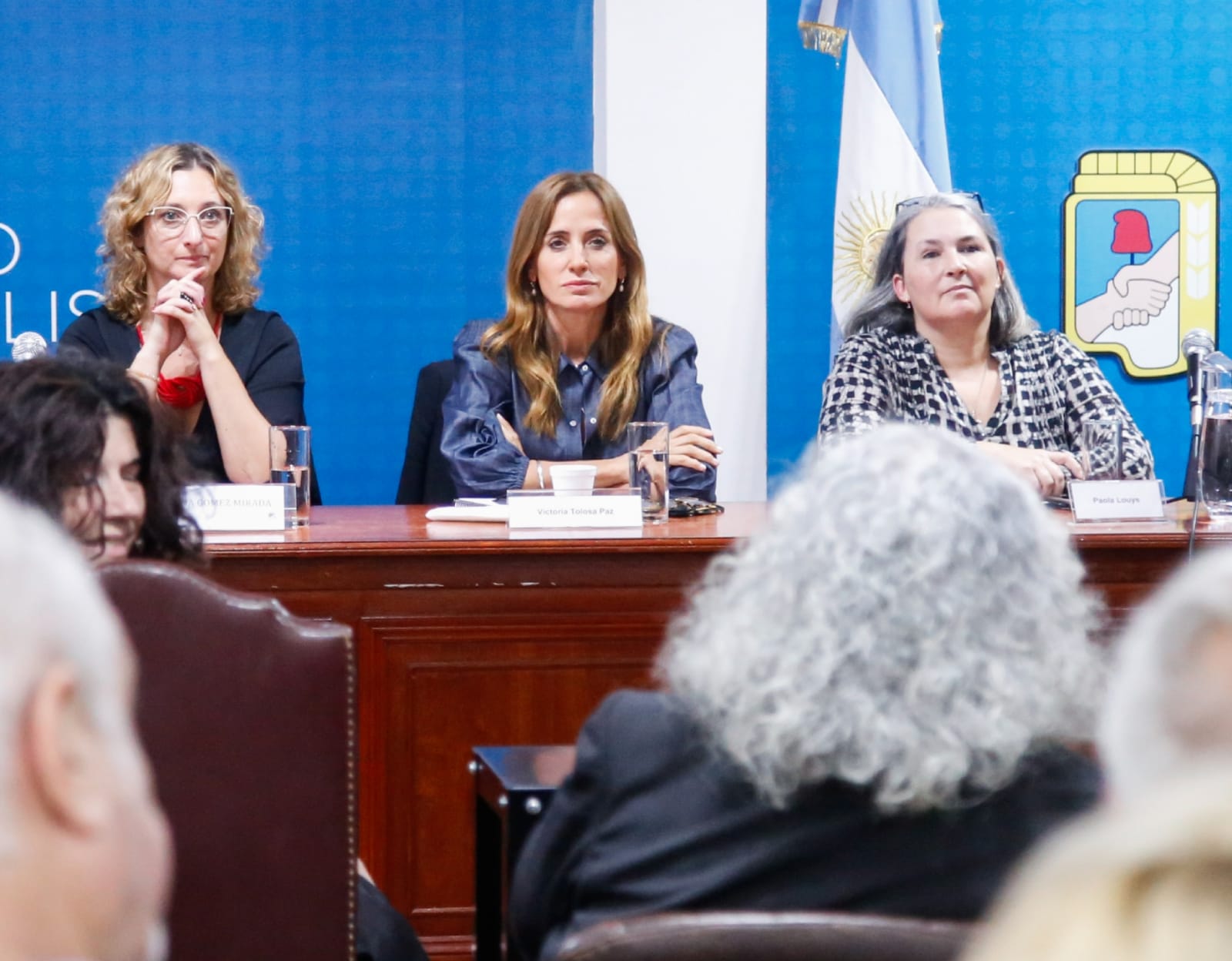 Tolosa Paz: “La renta inesperada no afecta a los productores del campo”