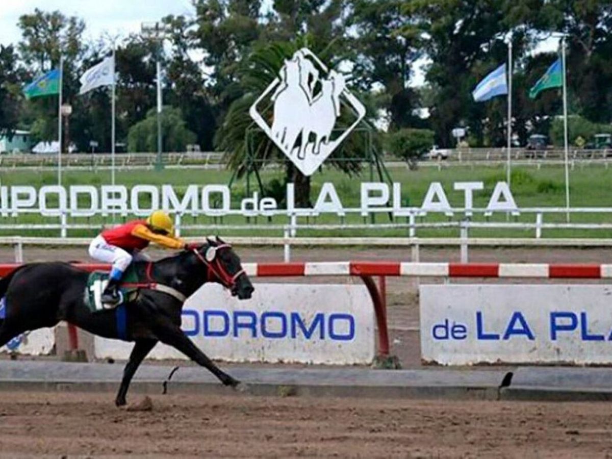 El hipódromo de La Plata tendrá 15 carreras durante la jornada de hoy