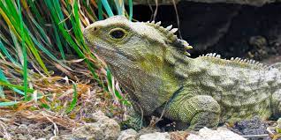 Los reptiles escamosos evolucionaron 50 millones de años antes de lo que se pensaba