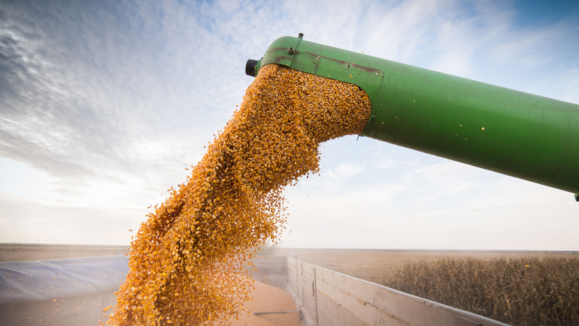 Rusia y Ucrania se reunirán en Turquía para negociar por la comercialización de los cereales