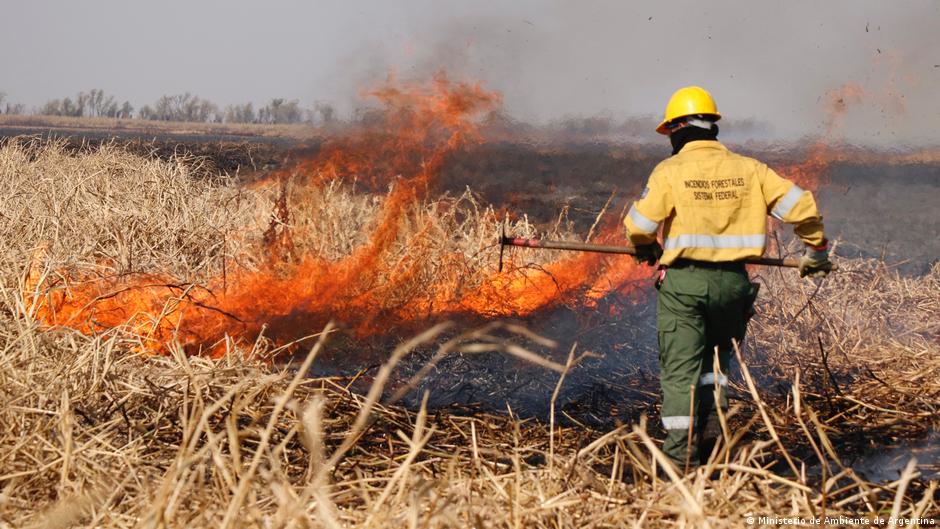 El Ministerio de Ambiente combate los incendios que afectan el Delta del Paraná