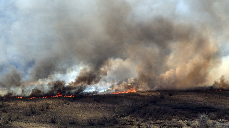 Restaurar los humedales del río Paraná tras los incendios llevará más de 300 años