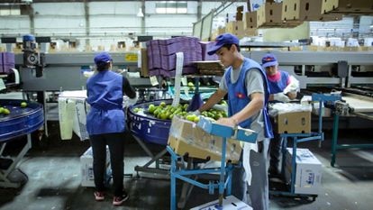 La Plata reportó más de 56 mil empleados en blanco