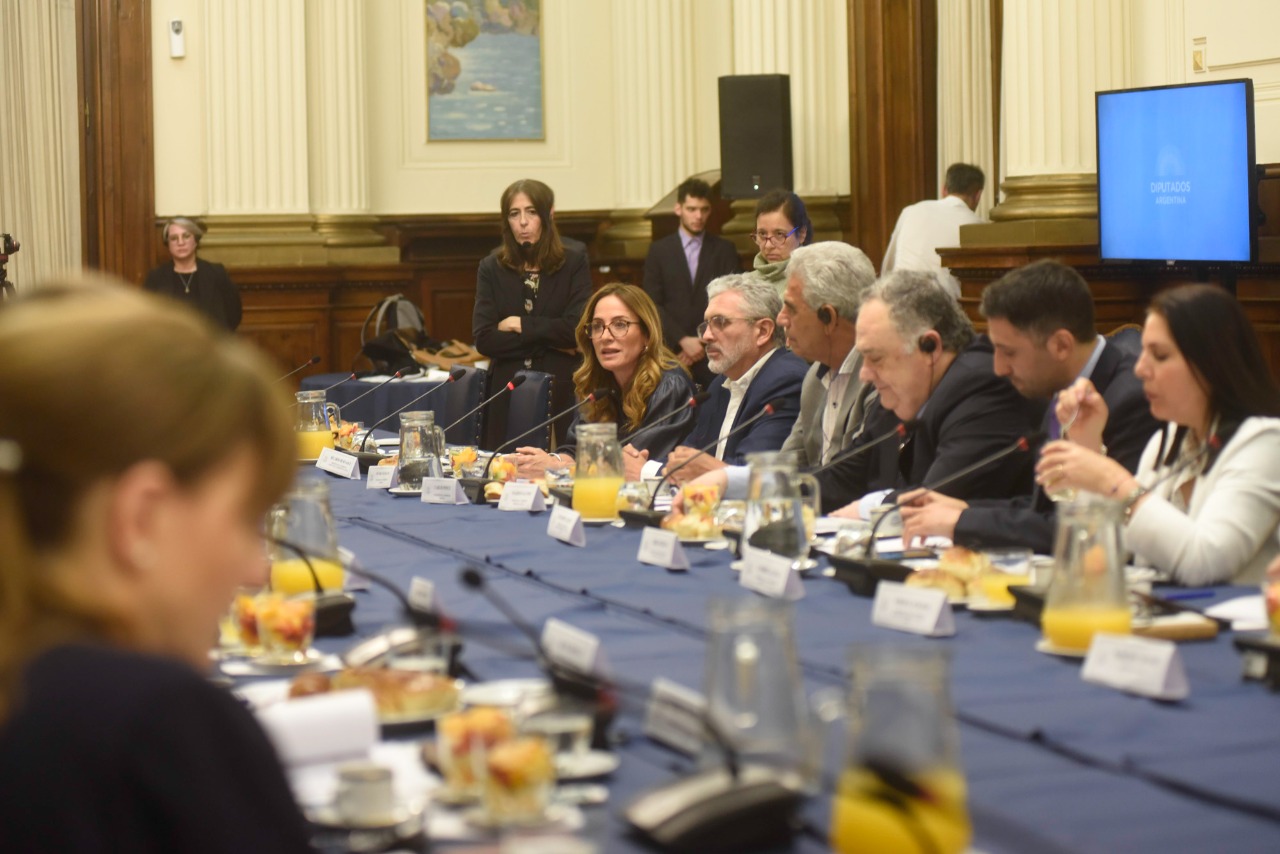 Tolosa Paz planteó la agenda de Astillero Río Santiago y Puerto La Plata ante parlamentarios de Noruega