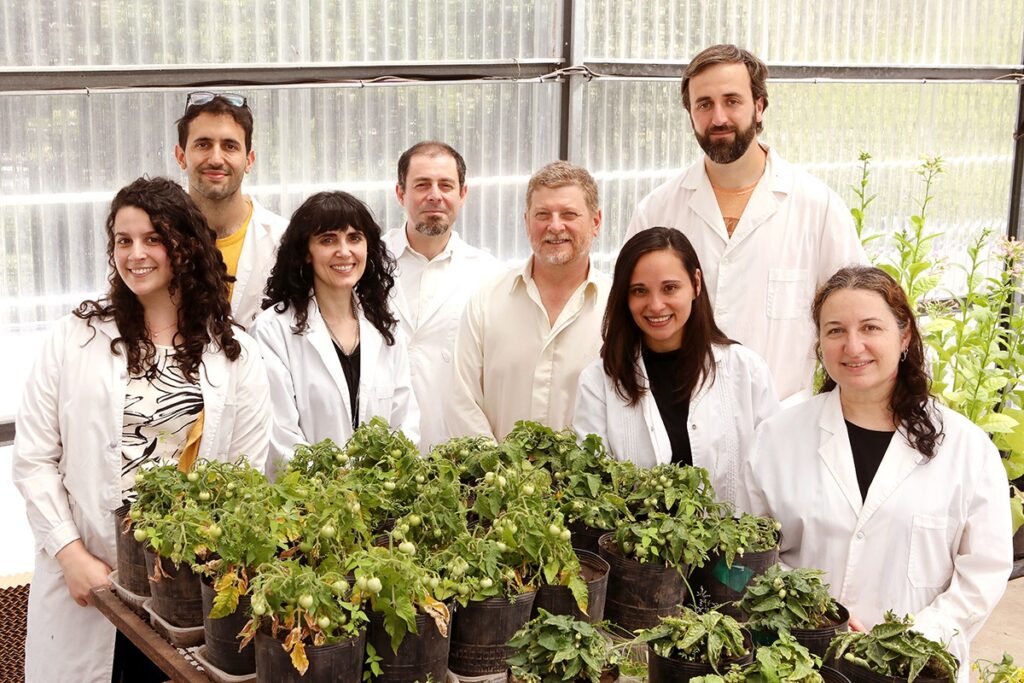 Investigadores de la UNLP estudian las propiedades de las plantas que ayudarían a reducir el estrés