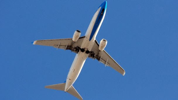 Seguí en vivo al avión de la Selección argentina de regreso a Ezeiza