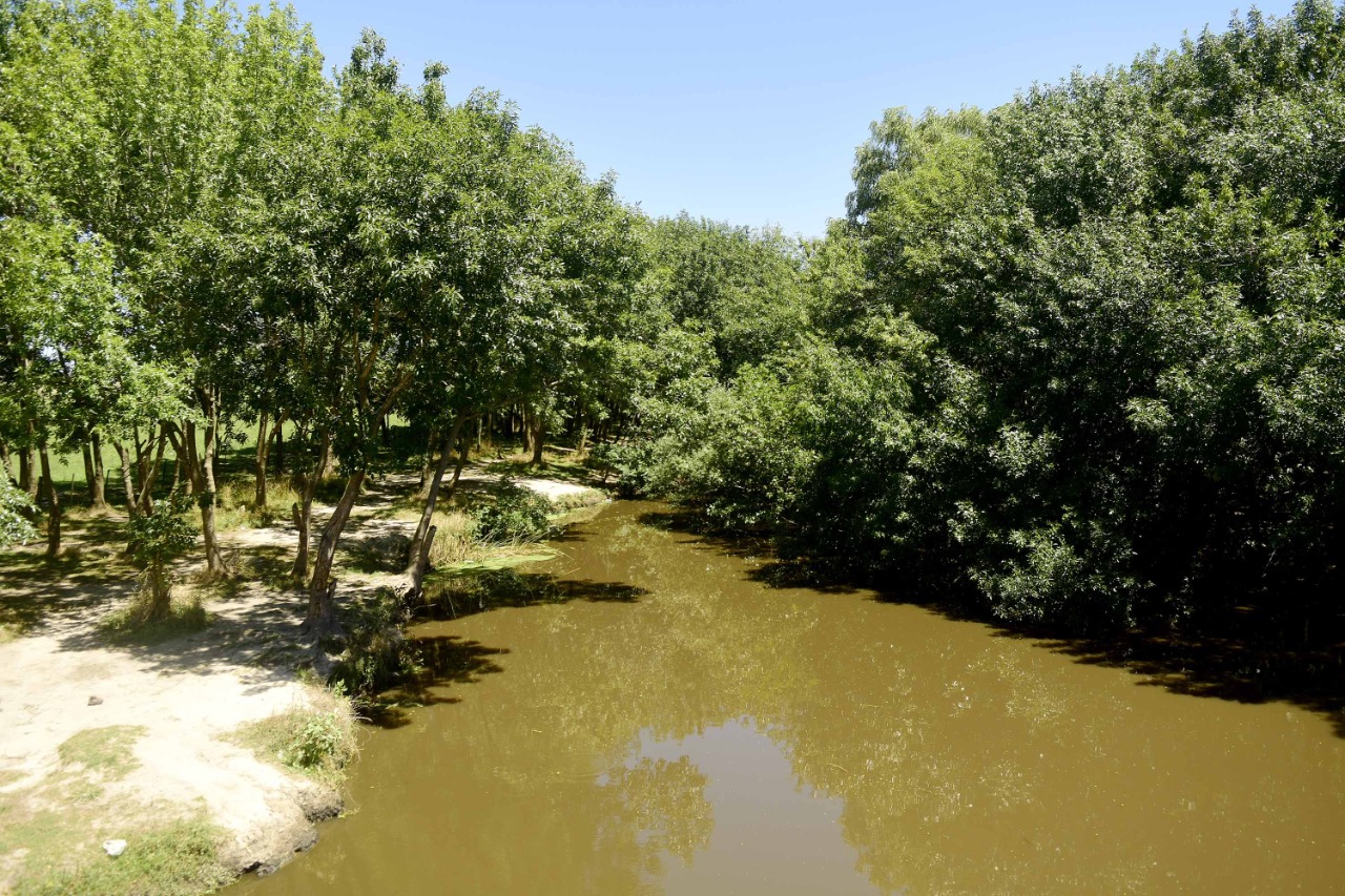 Ratificaron la prohibición de las construcciones privadas en el humedal del arroyo el pescado