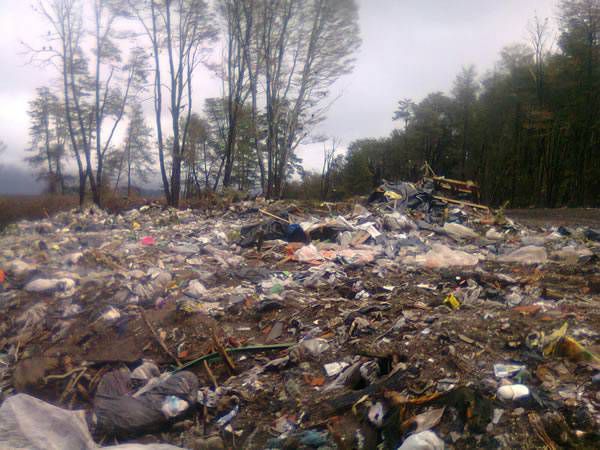 El Ministerio de Seguridad creó la Unidad de Análisis y Prevención de Delitos Ambientales