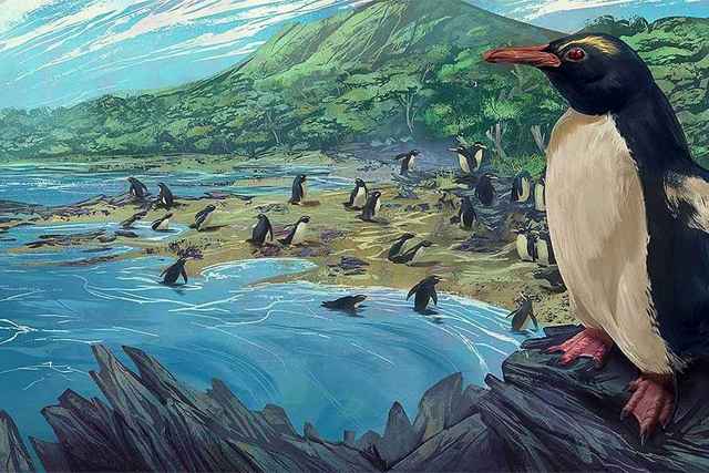 Encuentran indicadores de la separación entre la Antártida y Sudamérica en fósiles de pingüinos muy antiguos