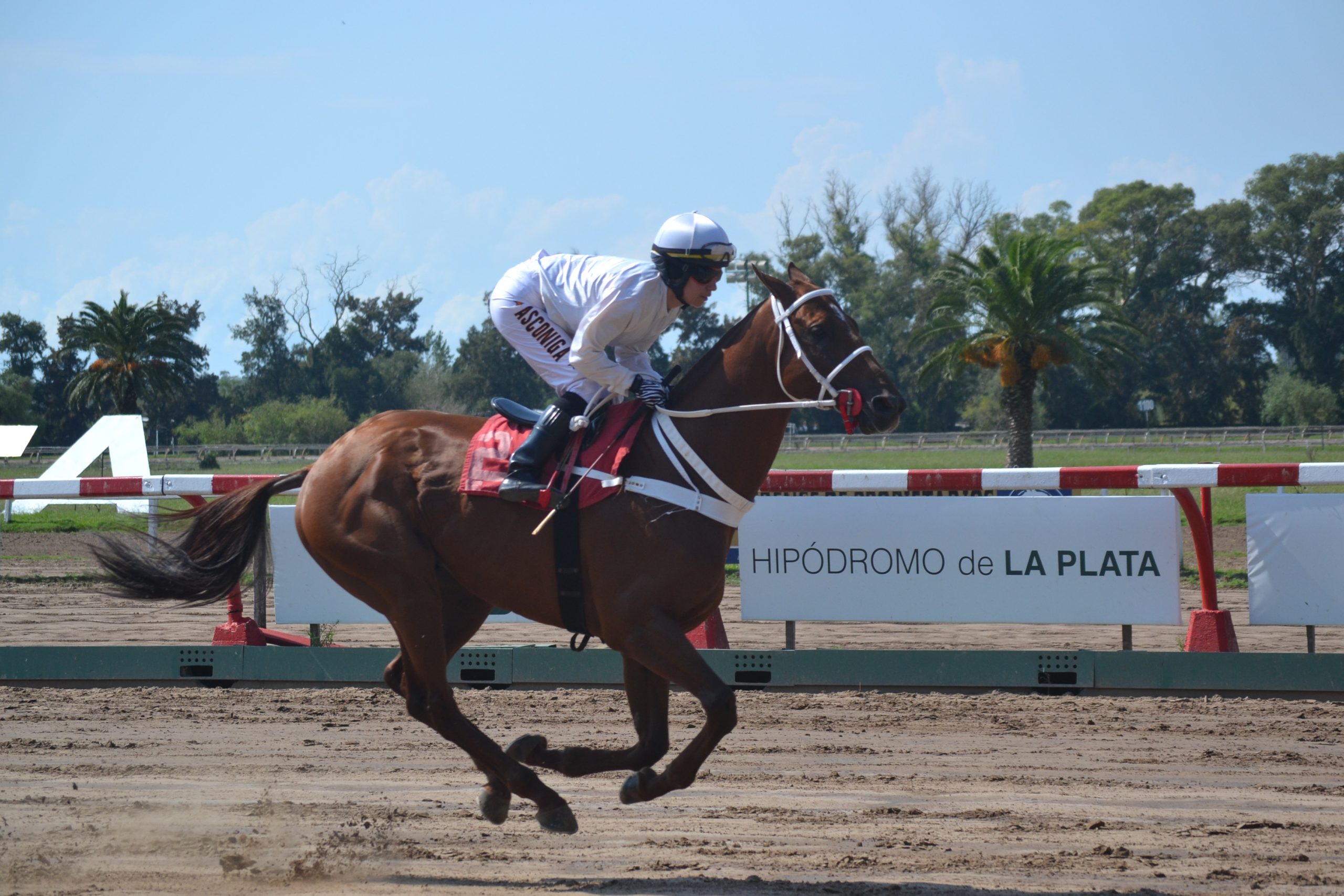 El hipódromo de La Plata se prepara para otra jornada memorable