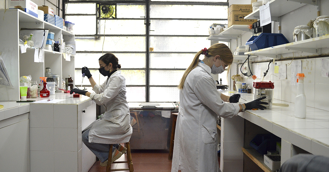 Tres emblemáticos centros de investigación del CONICET La Plata celebran 50 años de historia y vigencia