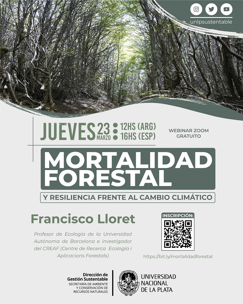 La UNLP realizará el webinar “Mortalidad forestal y resiliencia frente al cambio climático”