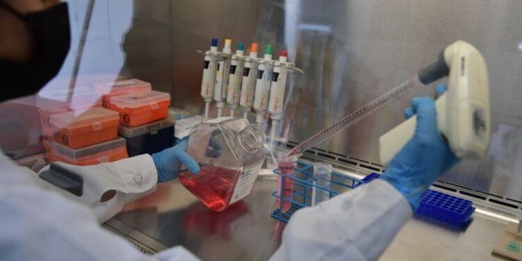 Avanza la prueba experimental de una vacuna antitumoral desarrollada por científicos del Conicet
