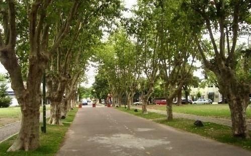 La ciudad tendrá nuevos corredores verdes