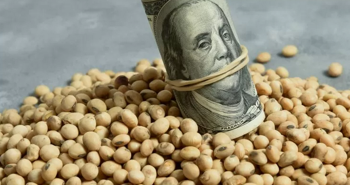 El gobierno reglamentó el dólar soja 3