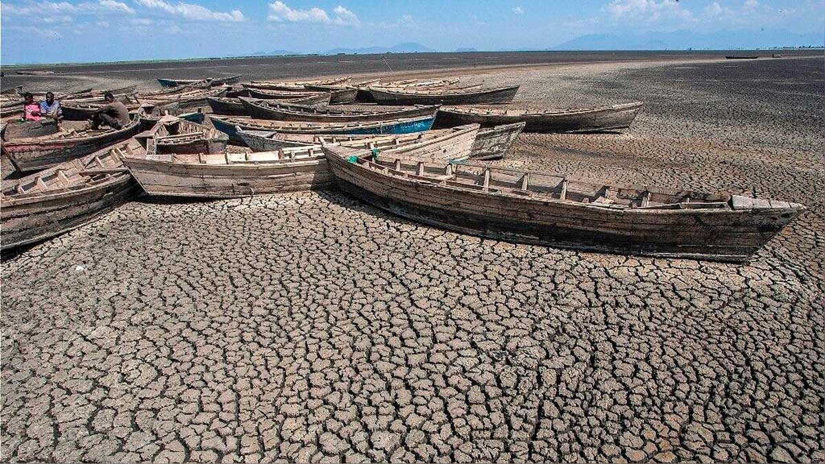 Según un estudio, el calentamiento global provoca una suba de 0,2º C por década