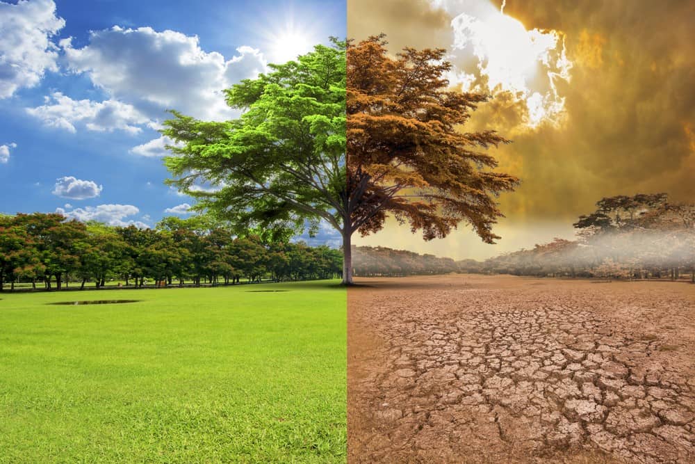 La UNLP publicó una investigación del Cambio Climático