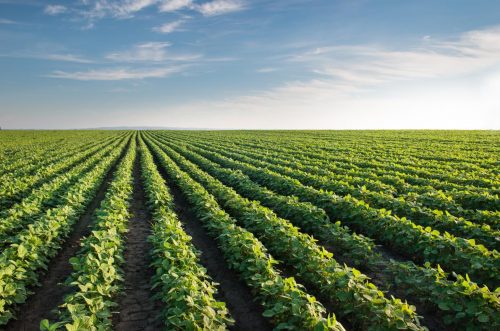 Una empresa argentina ayudará a la NASA a mejorar sus cultivos y le exportará producción nacional