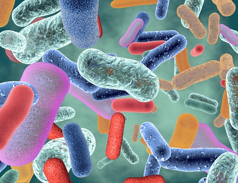 Investigadores argentinos estudian bacterias para mejorar los tratamientos de Alzheimer