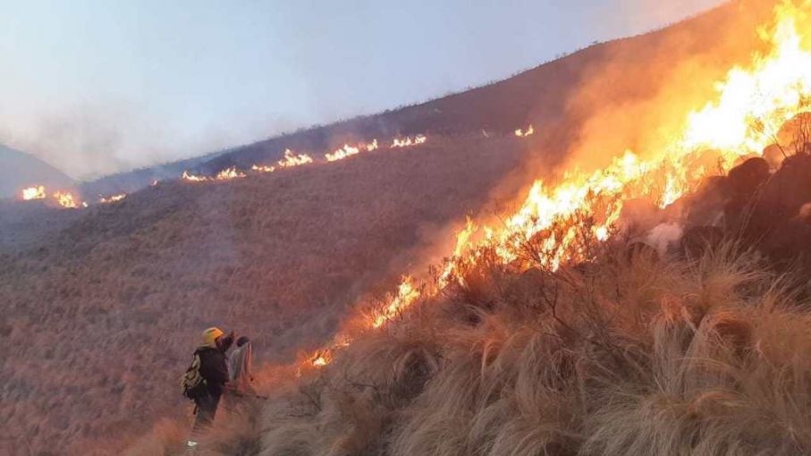 El departamento de Tinogasta en Catamarca es el único que posee un incendio forestal activo