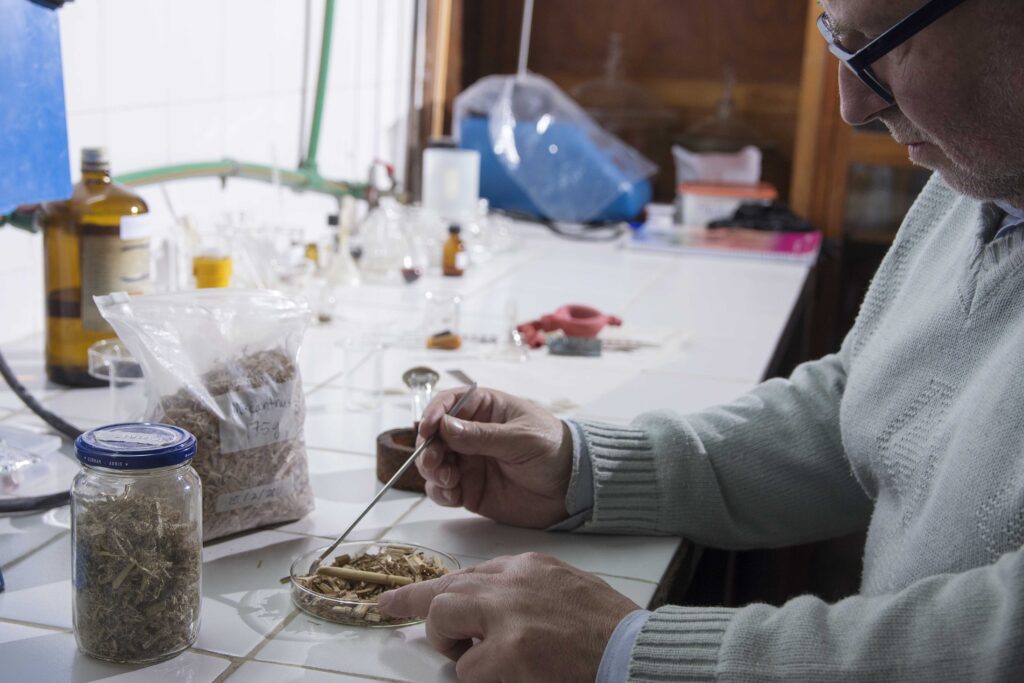 Un equipo de investigación de la UNLP analizó las ventajas de la química verde