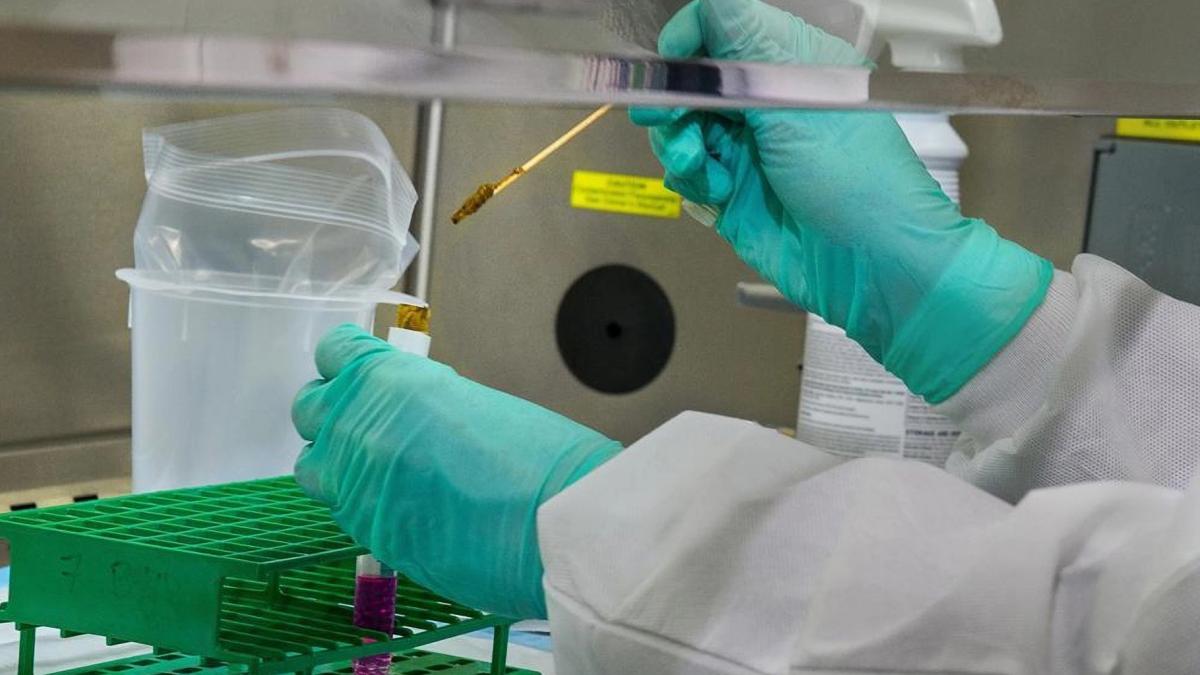 El debate en la ciencia: ¿qué investigar durante los próximos diez años?